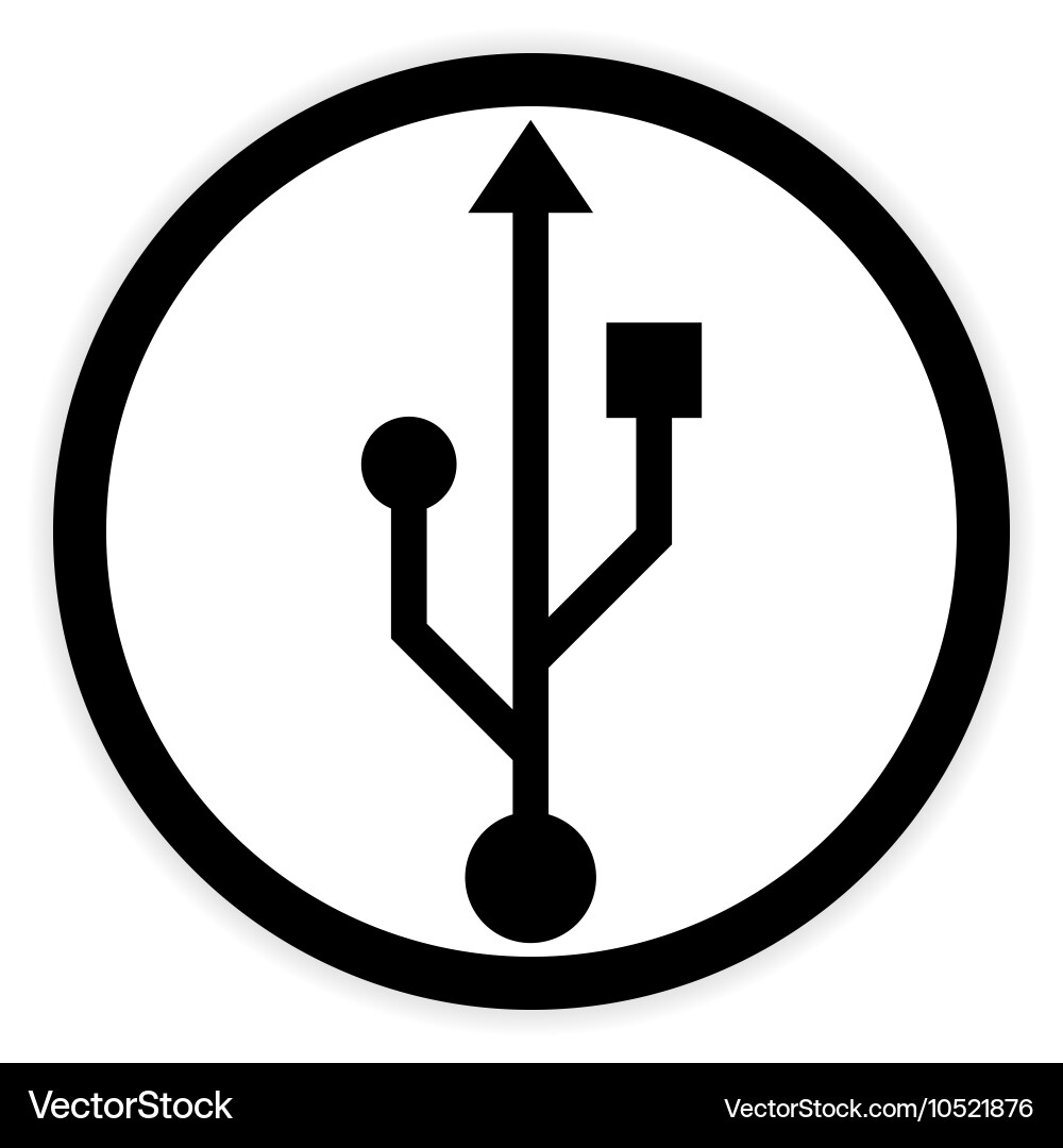 Usb flash button Vector Image