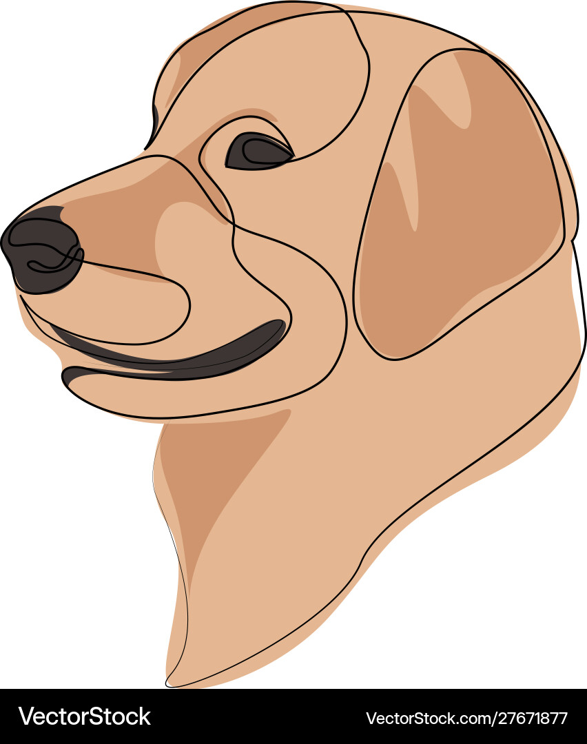 Continuous line golden retriever single Continuous line golden retriever single vector image