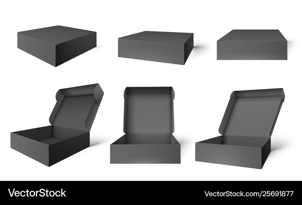 Open black packaging box dark cardboard opened vector image