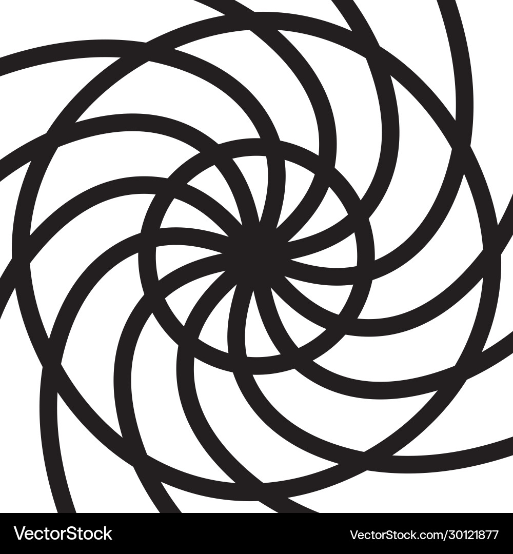 Round shapes swirl design template shell pattern Round shapes swirl design template shell pattern vector image