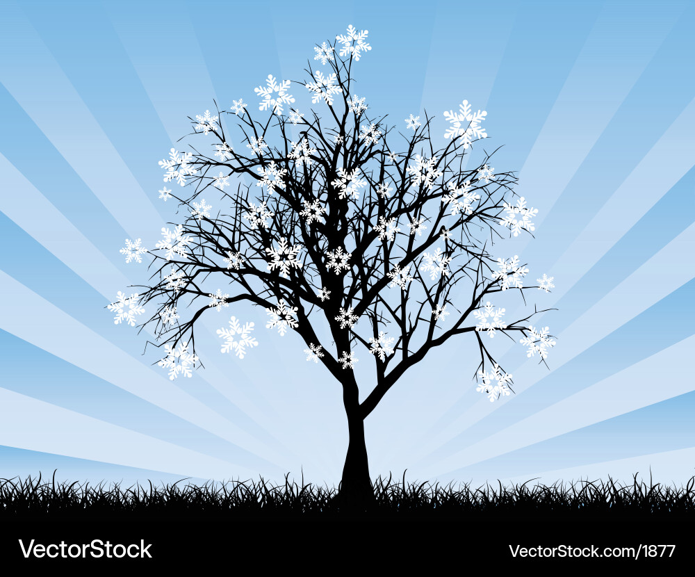 Snowflake tree Vector Image