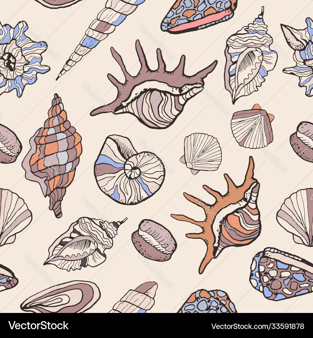Pattern with seashells on a light Pattern with seashells on a light vector image