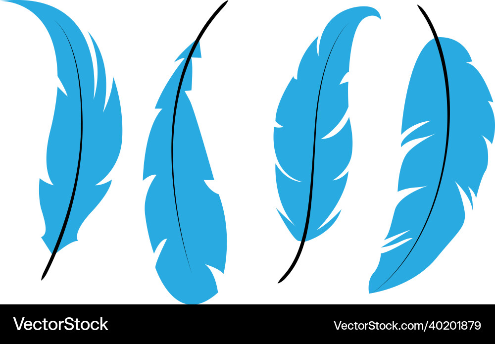 Feather different forms of feathers Feather different forms of feathers Vector Image