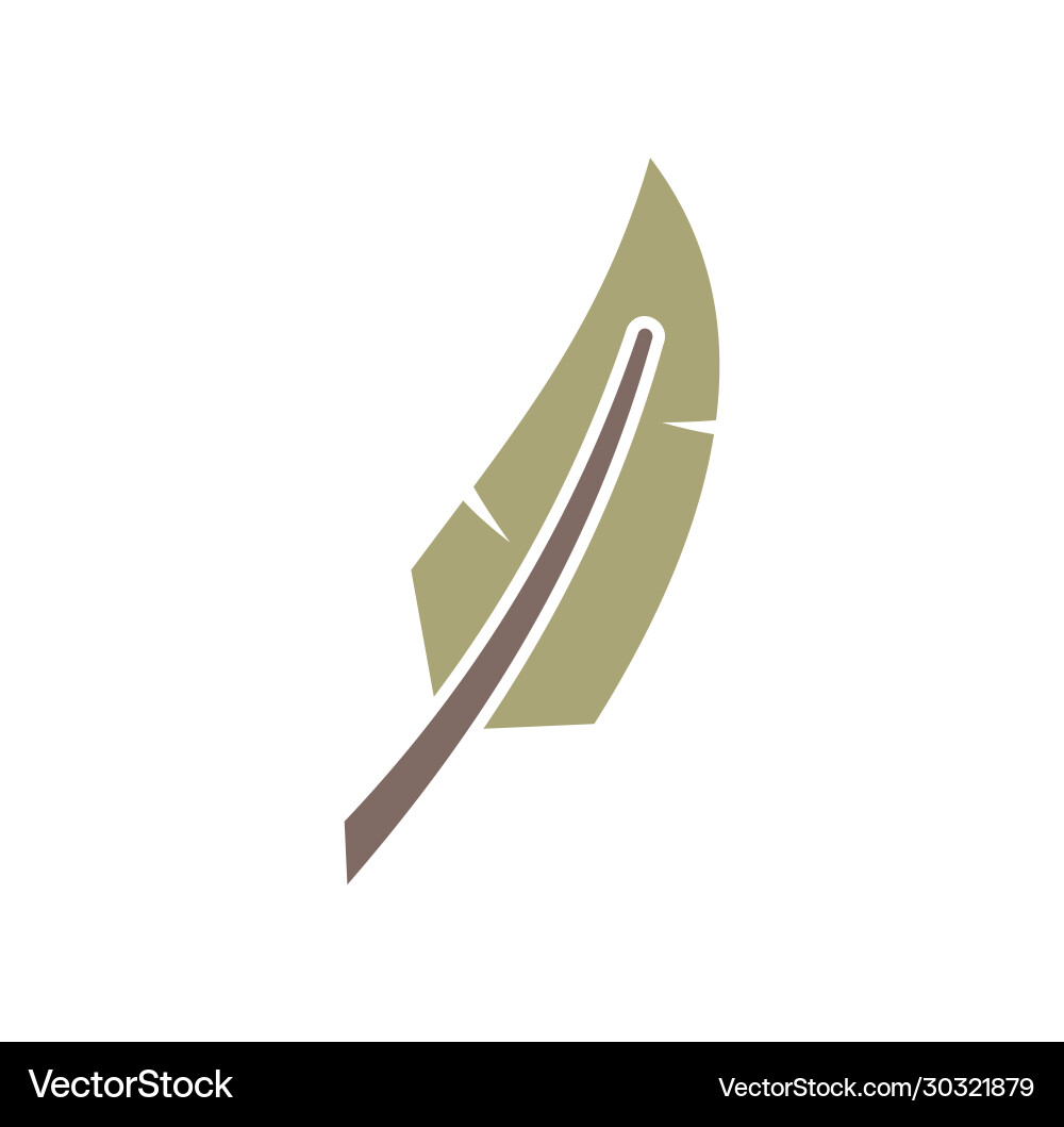 Feather icon on background for graphic and web Feather icon on background for graphic and web vector image