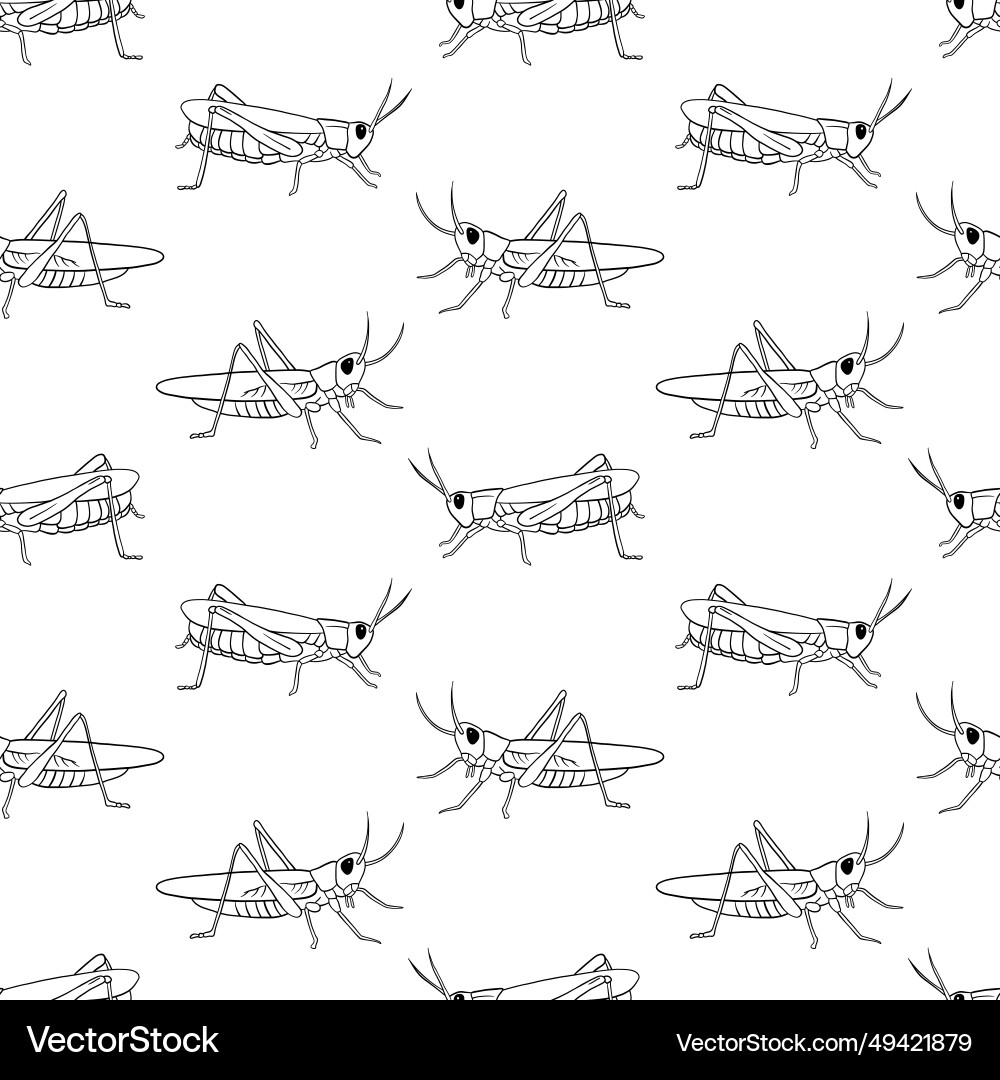 Grasshopper Outline Pattern vector image
