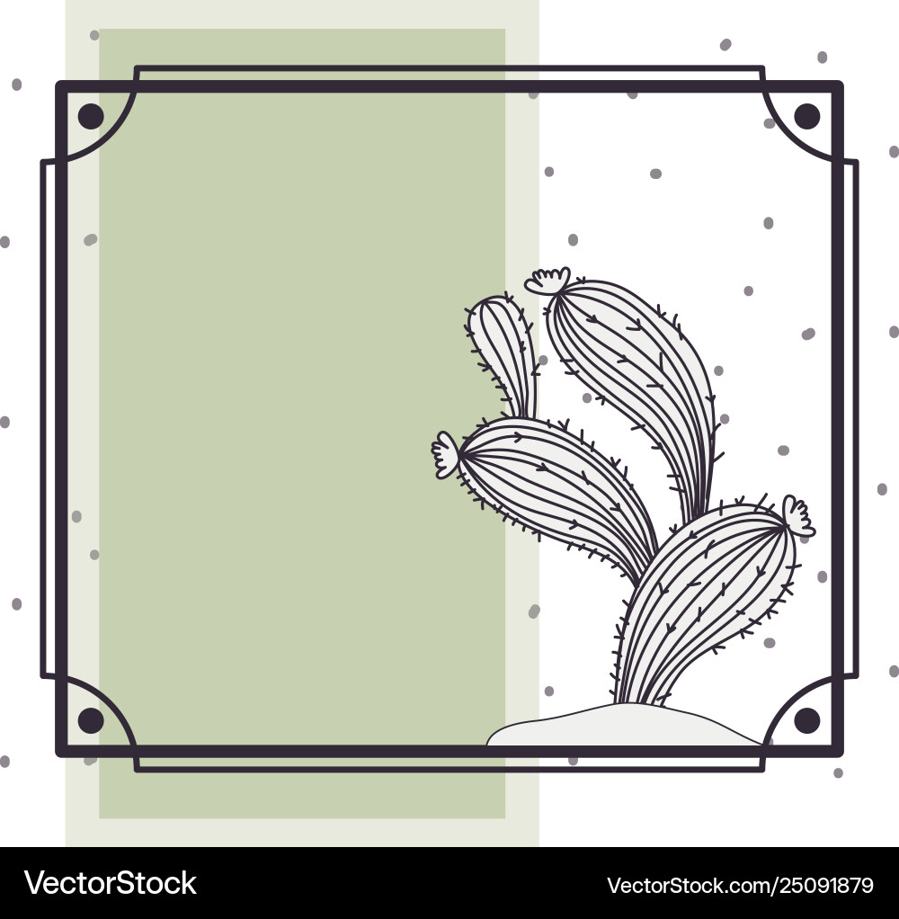 Pattern cactus in frame isolated icon Pattern cactus in frame isolated icon vector image
