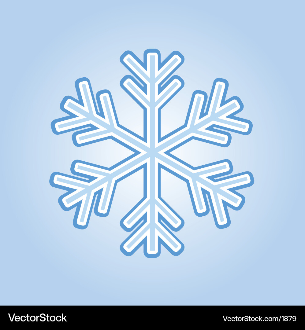 Snowflake vector image
