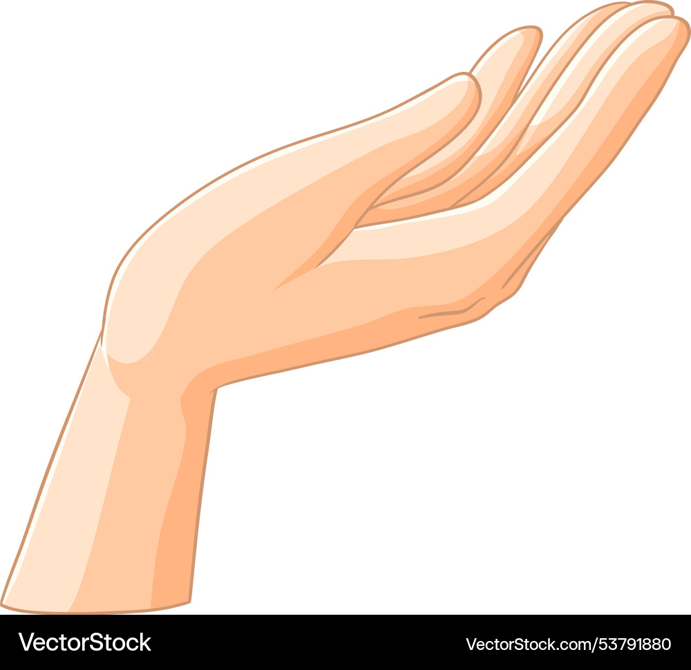 A of an open hand Vector Image