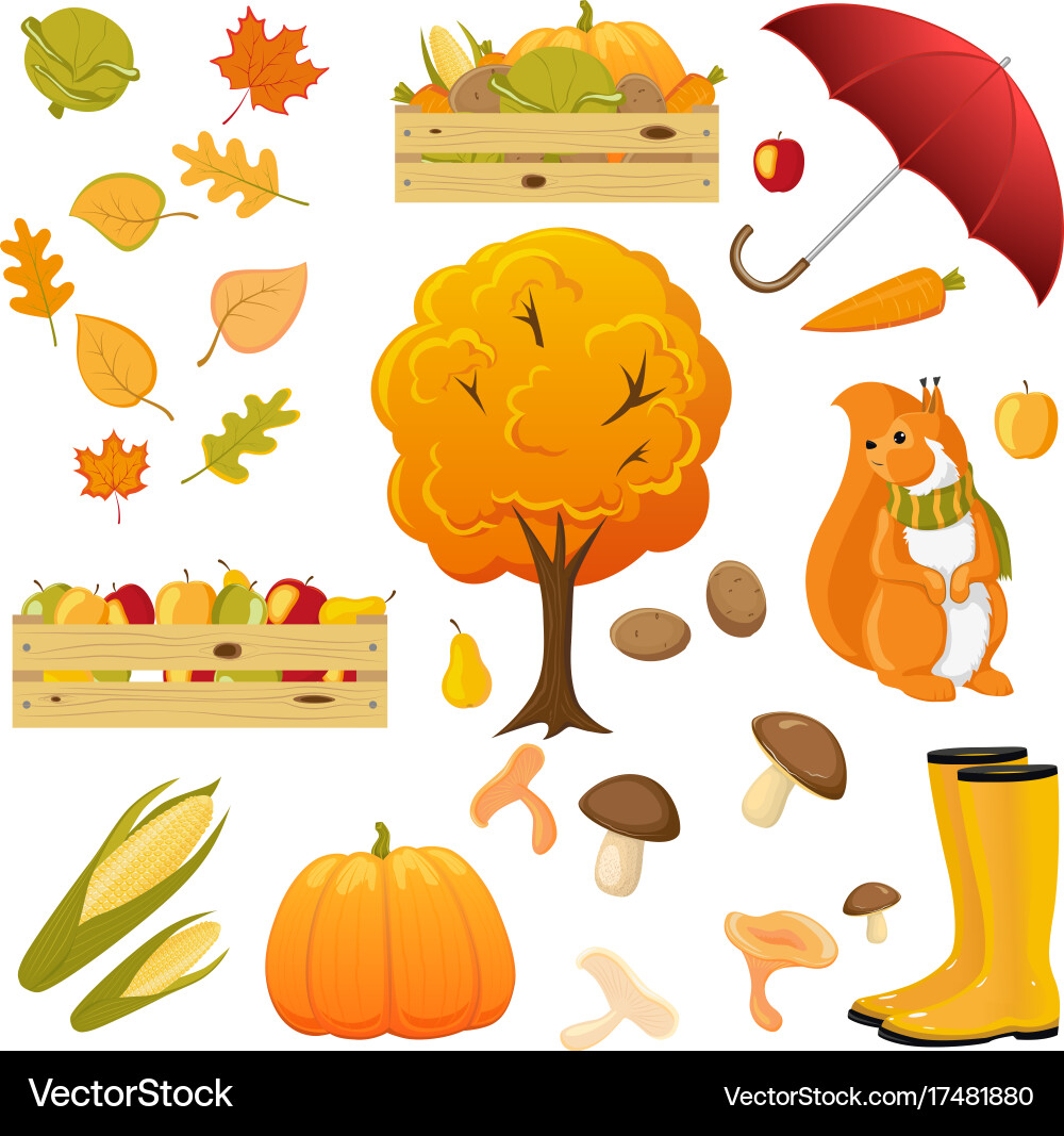 Fall Autumn Objects Collection Vector Image