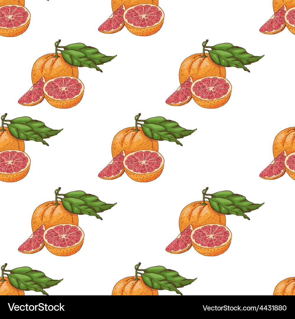 Seamless pattern with grapefruits vector image