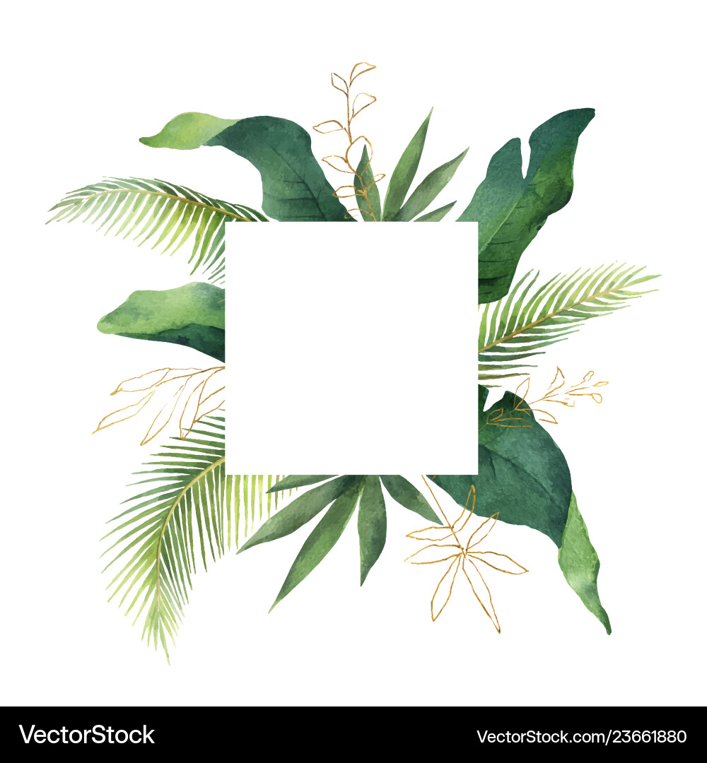 Tropical Watercolor Green Card vector image