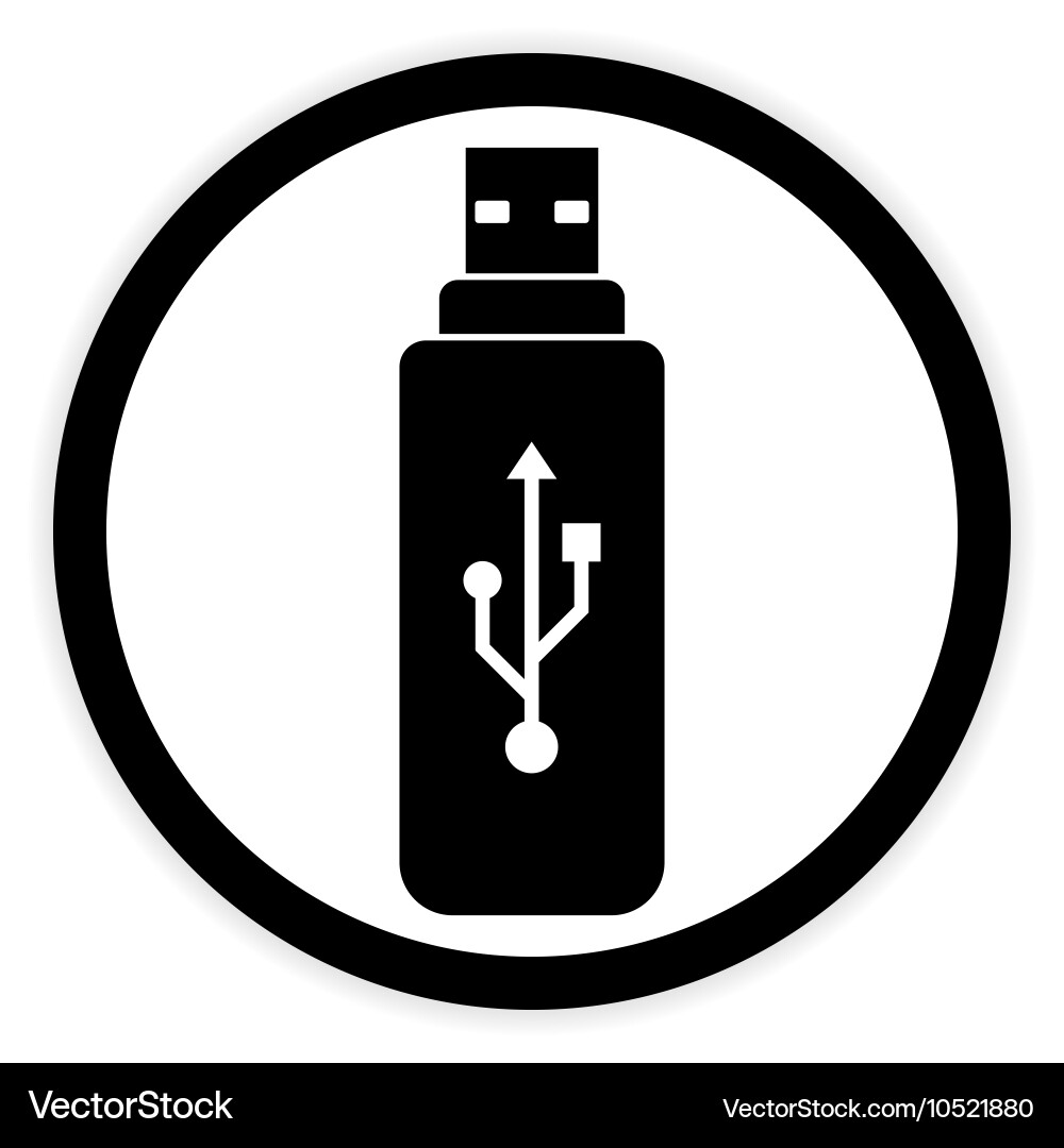 Usb flash button Vector Image