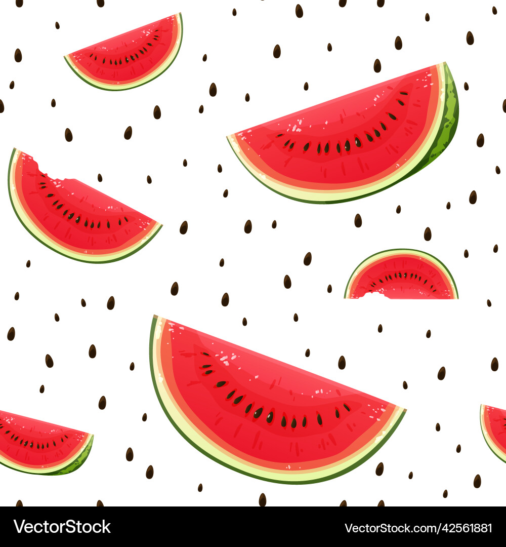 Watermelon Slice Pattern vector image