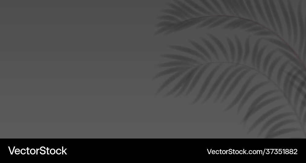 3d podium realistic minimal empty scene showcase 3d podium realistic minimal empty scene showcase vector image
