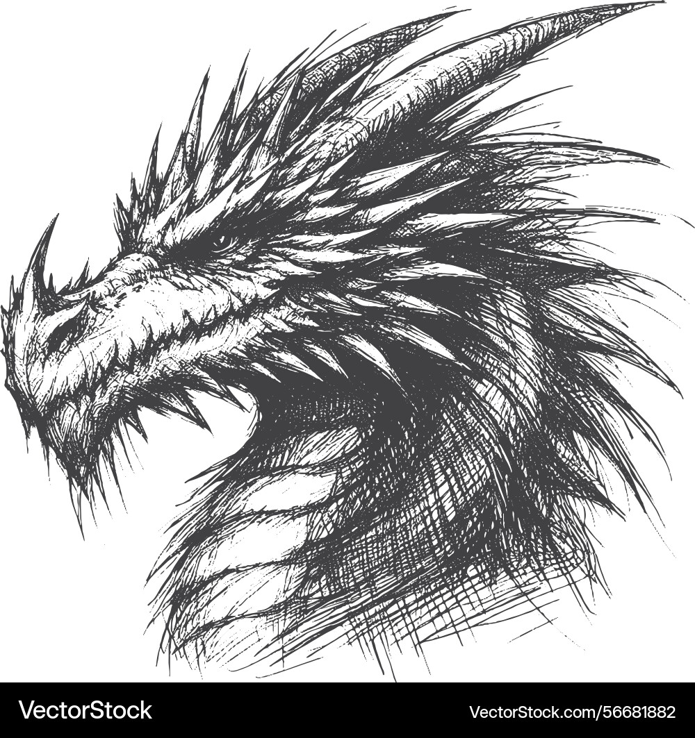 Hand-drawn dragon head side view sketch style – Royalty-Free Vector |  VectorStock, image size:1000x1063