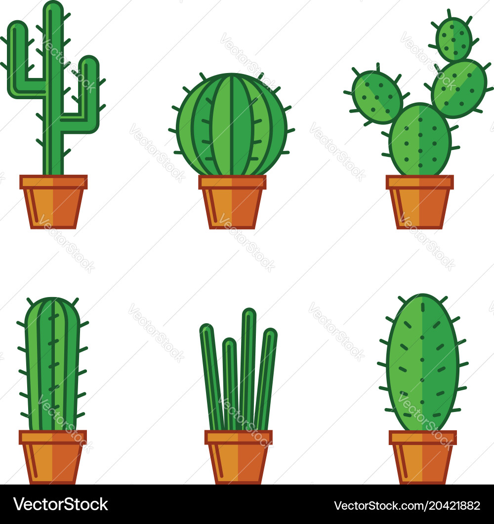 Set of cactuse Vector Image