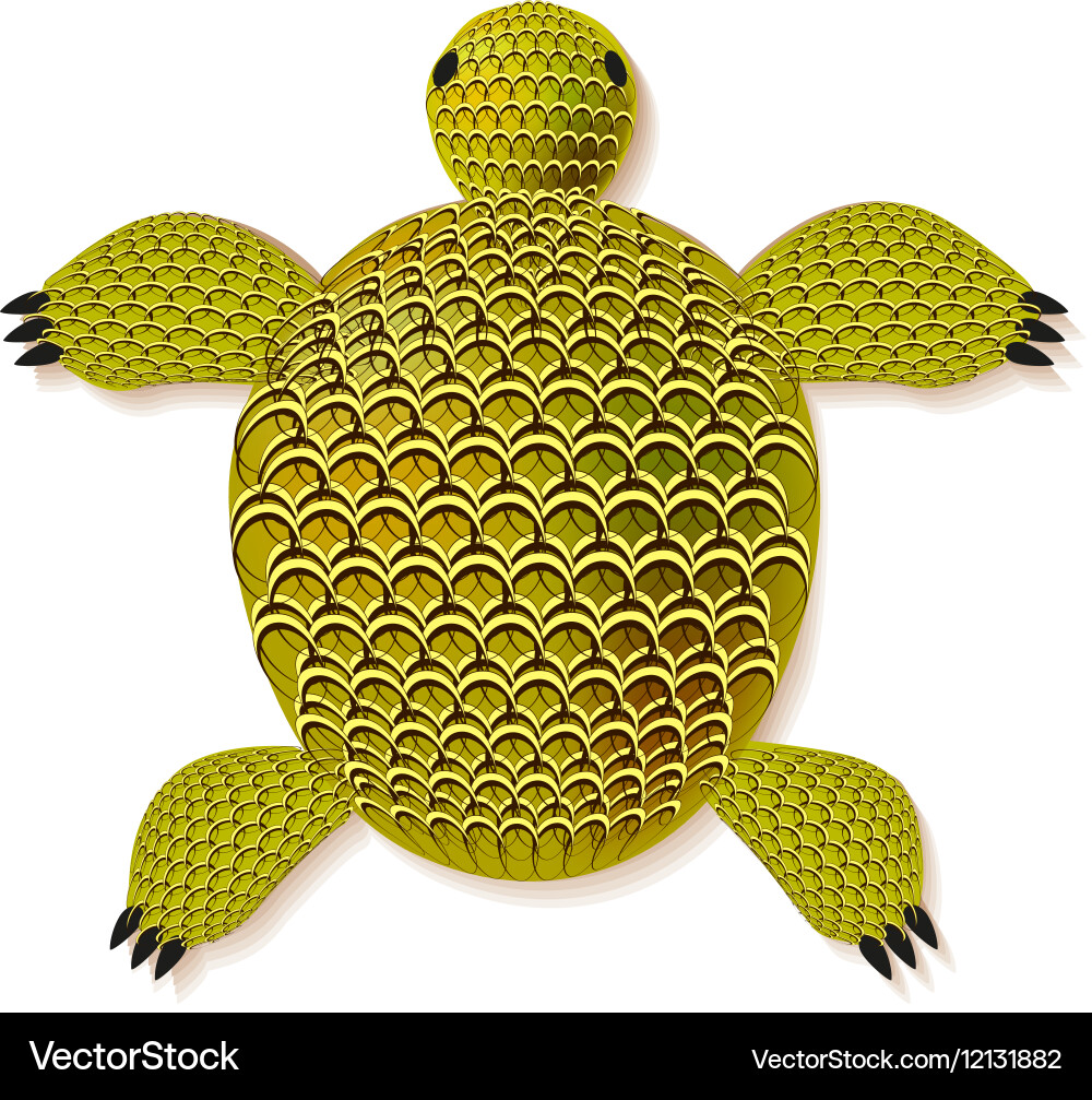 Turtle entangle pattern vector image