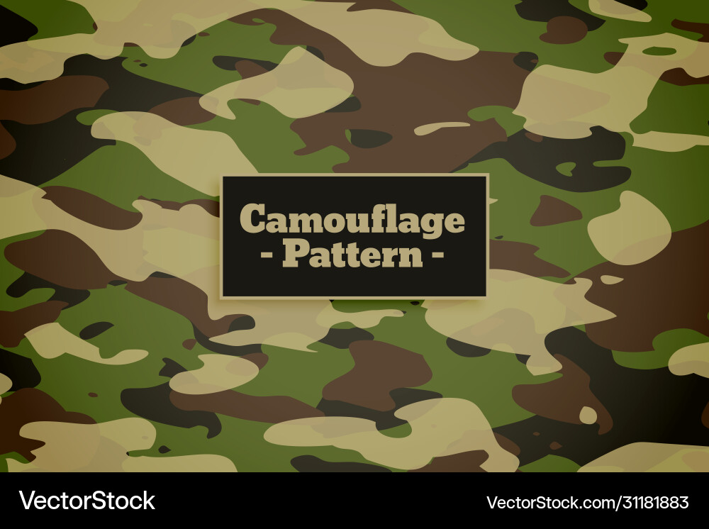 Army Camouflage Pattern Background vector image