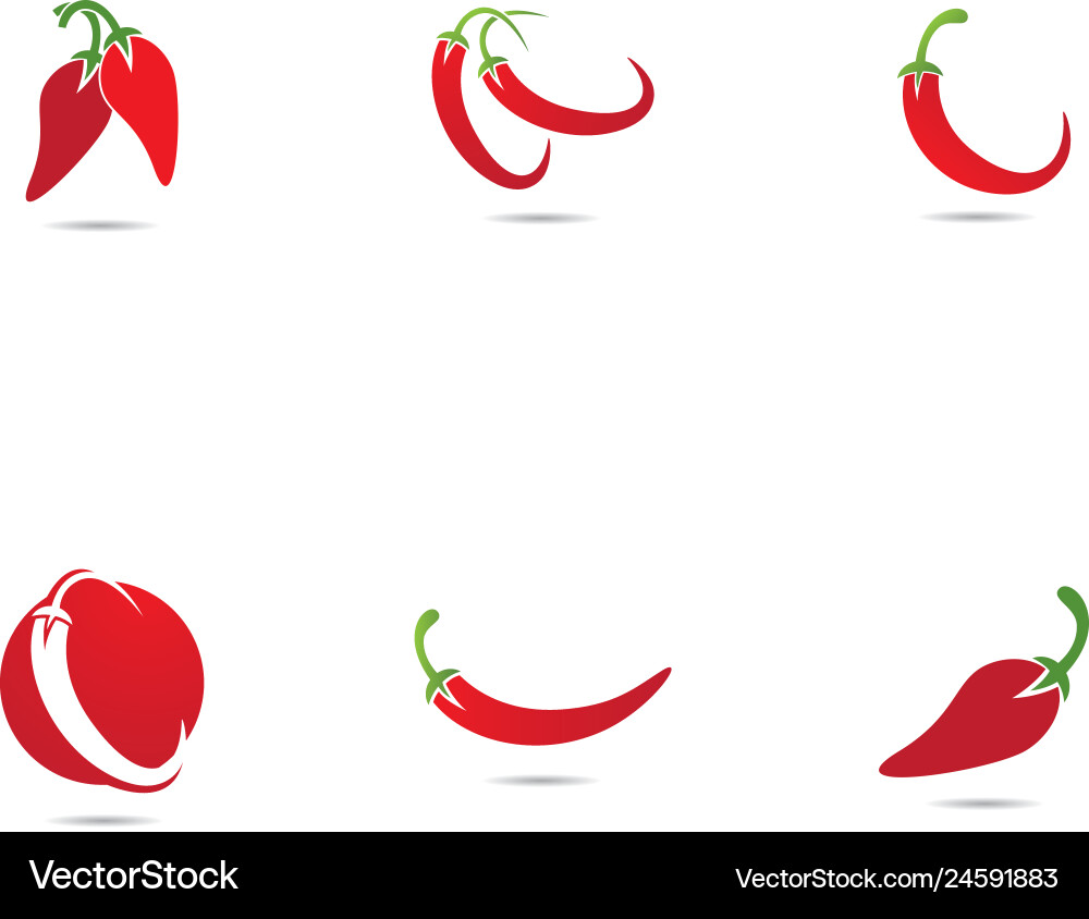 Chili icon Chili icon vector image