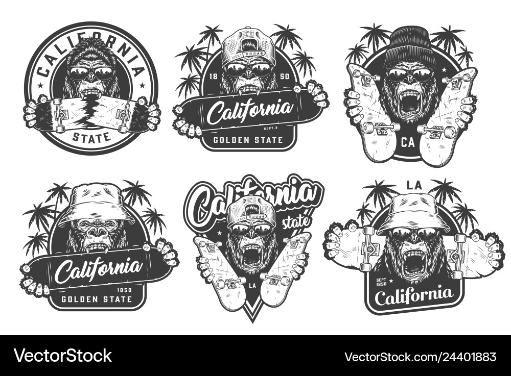 Vintage monochrome summer skateboarding labels Vintage monochrome summer skateboarding labels vector image