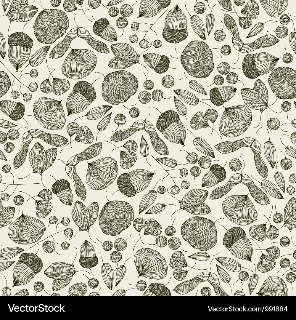 Seed Pattern - Oak & Maple Vector Image