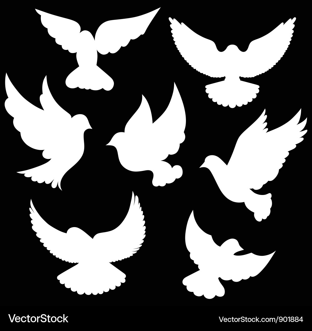 White Dove Symbol vector image