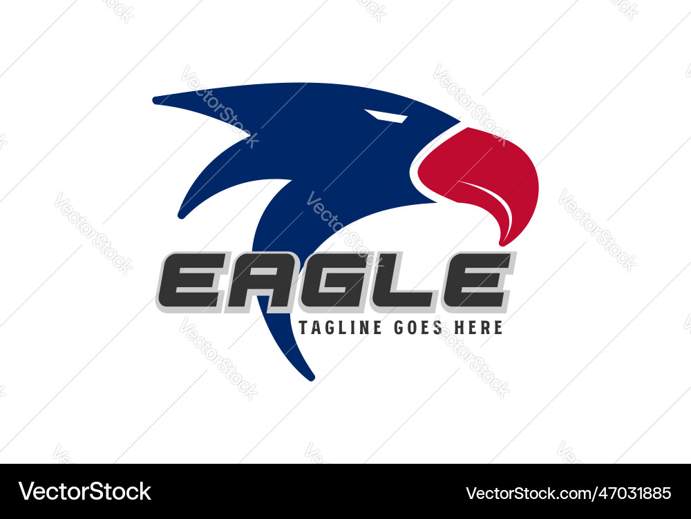 American eagle hawk falcon head for sport team American eagle hawk falcon head for sport team vector image