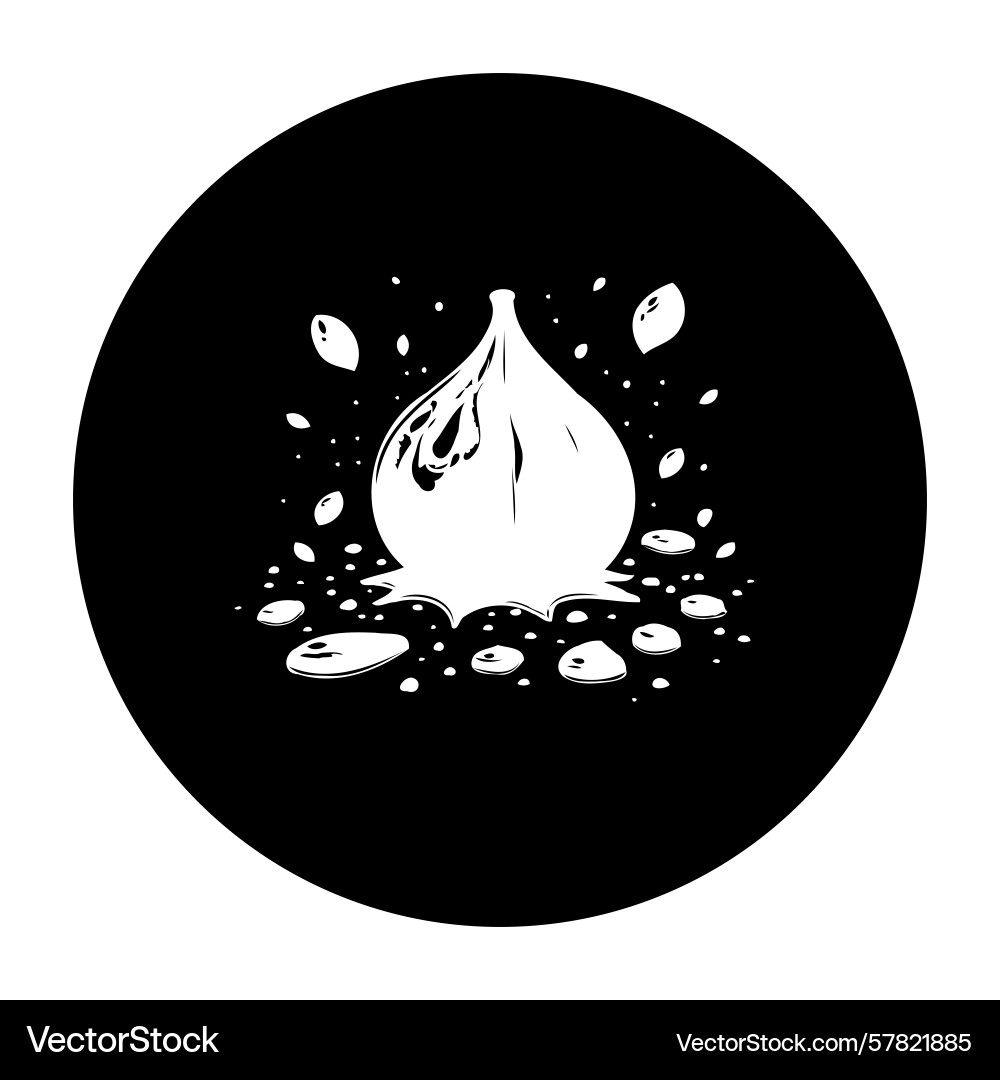 Monochrome garlic with a splash effect creating Vector Image