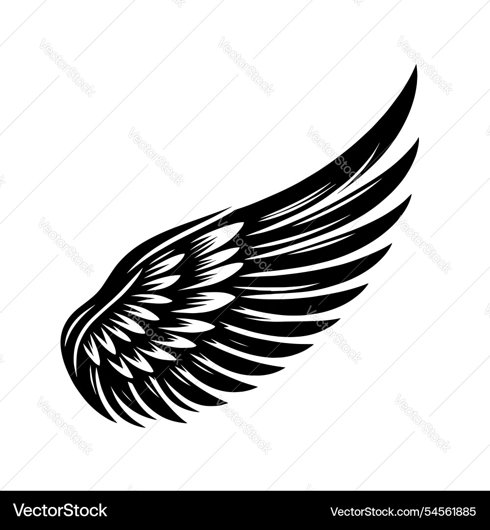 Single black wing Royalty Free Vector Image - VectorStock