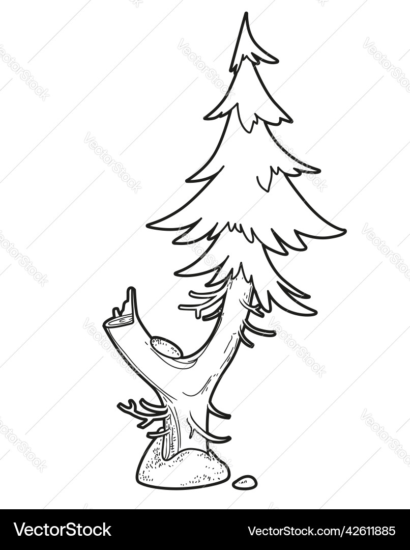 Spruce with fork and stump old tree linear Spruce with fork and stump old tree linear Vector Image