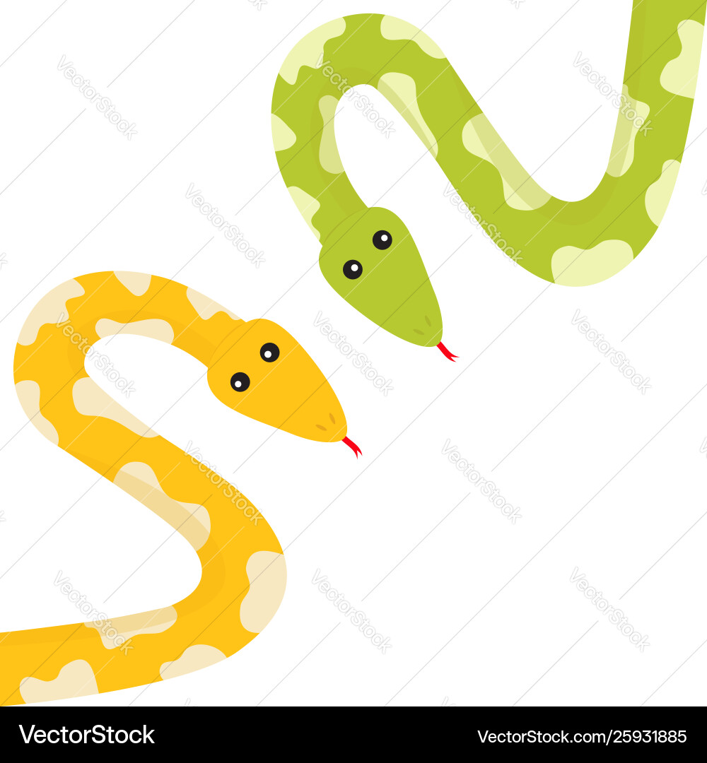 Yellow green python snake set with tongue golden Yellow green python snake set with tongue golden vector image