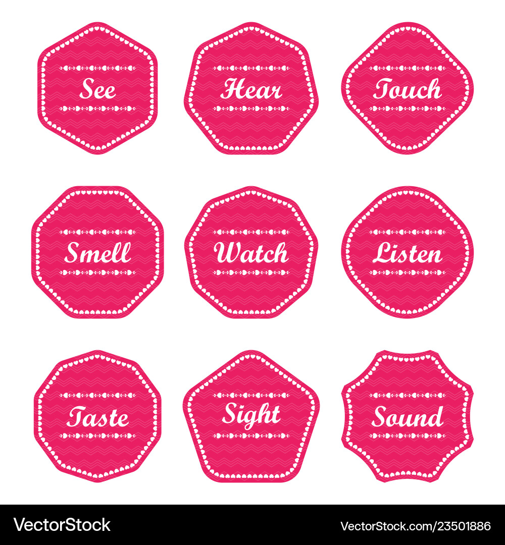 Five senses gift tags and card flat Vector Image