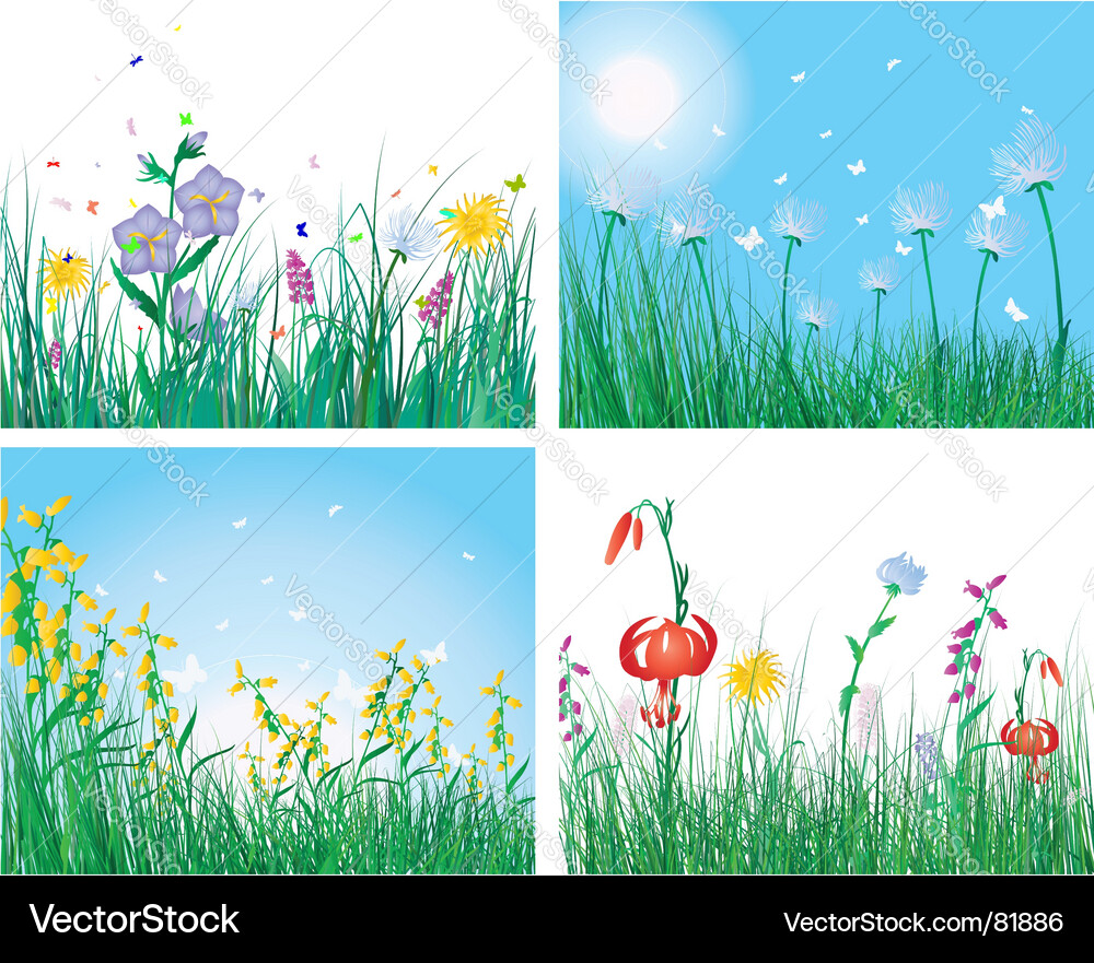 Grass backgrounds Royalty Free Vector Image - VectorStock