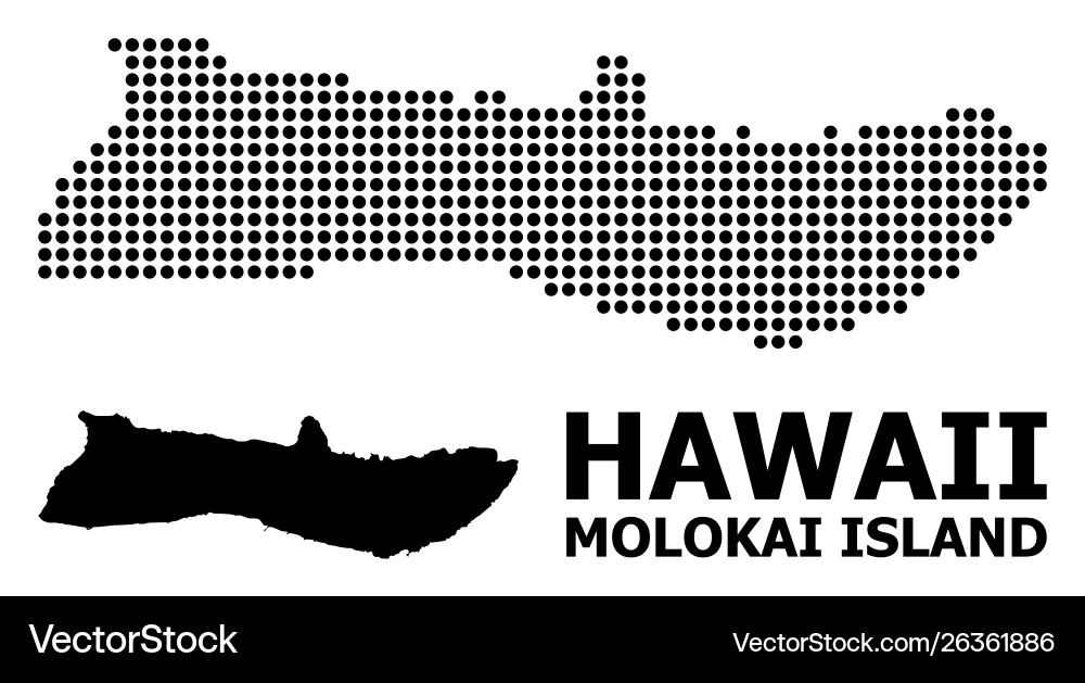 Pixelated pattern map molokai island Vector Image