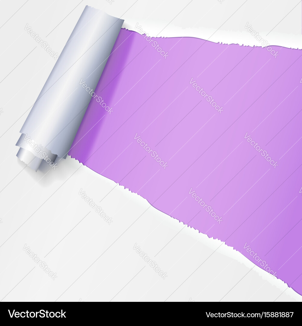 Realistic torn open paper with space for text Vector Image