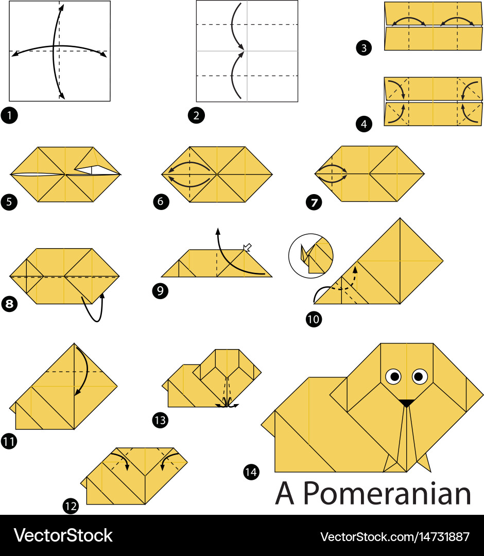 Step by instructions how to make origami Vector Image