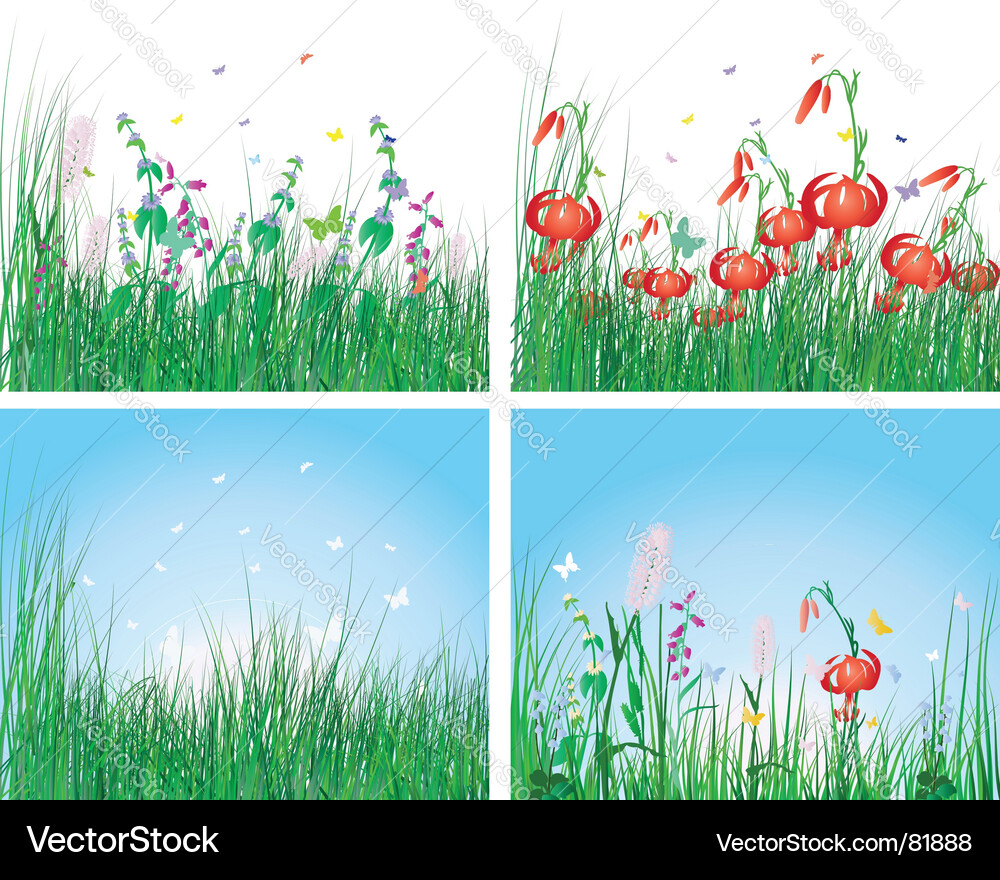 Grass backgrounds Royalty Free Vector Image - VectorStock