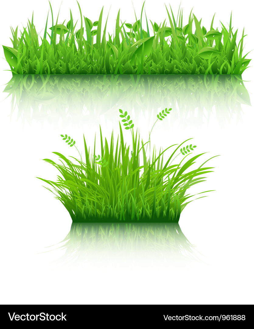 Grass Royalty Free Vector Image - VectorStock