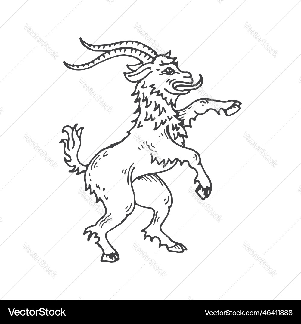Rampart goat medieval heraldic animal sketch Rampart goat medieval heraldic animal sketch vector image
