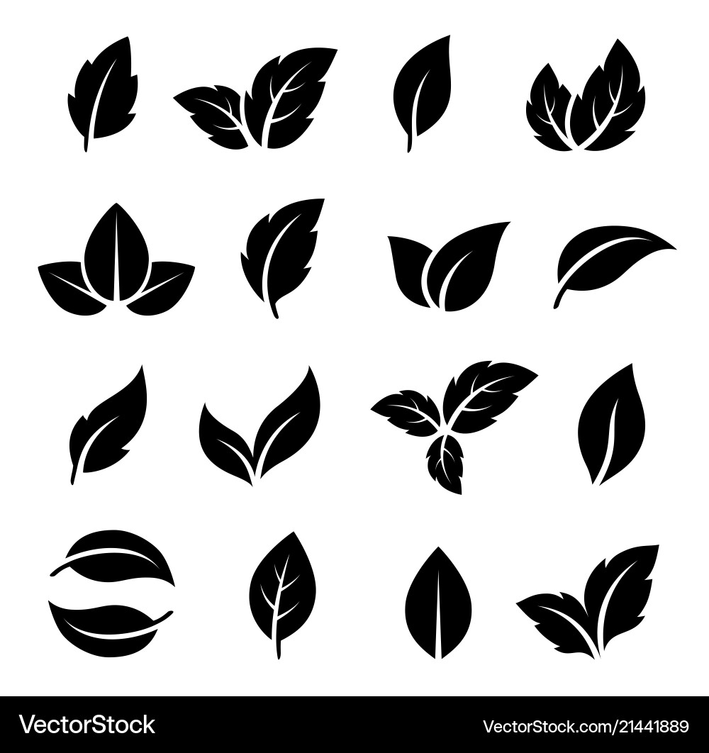 Black Leaf Icon Set Royalty Free Vector Image - VectorStock