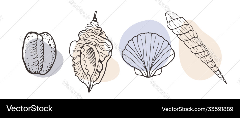 Set with seashells on a light background Vector Image