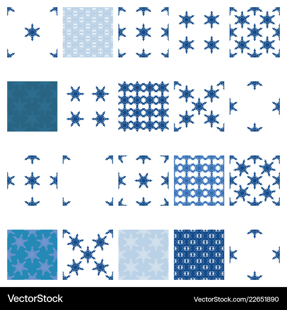 Elegant Snowflake Pattern vector image