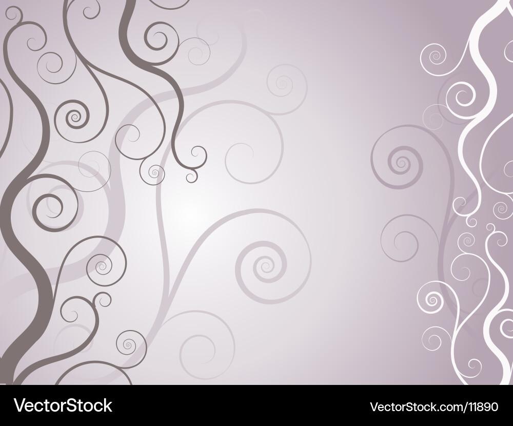 Intricate Swirl Pattern vector image