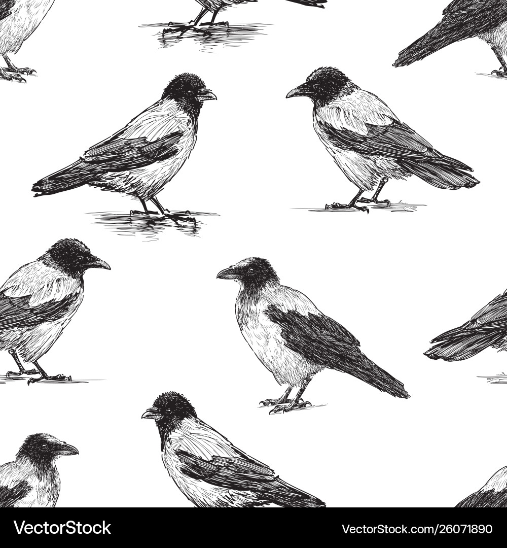 Seamless pattern crows sketches Vector Image