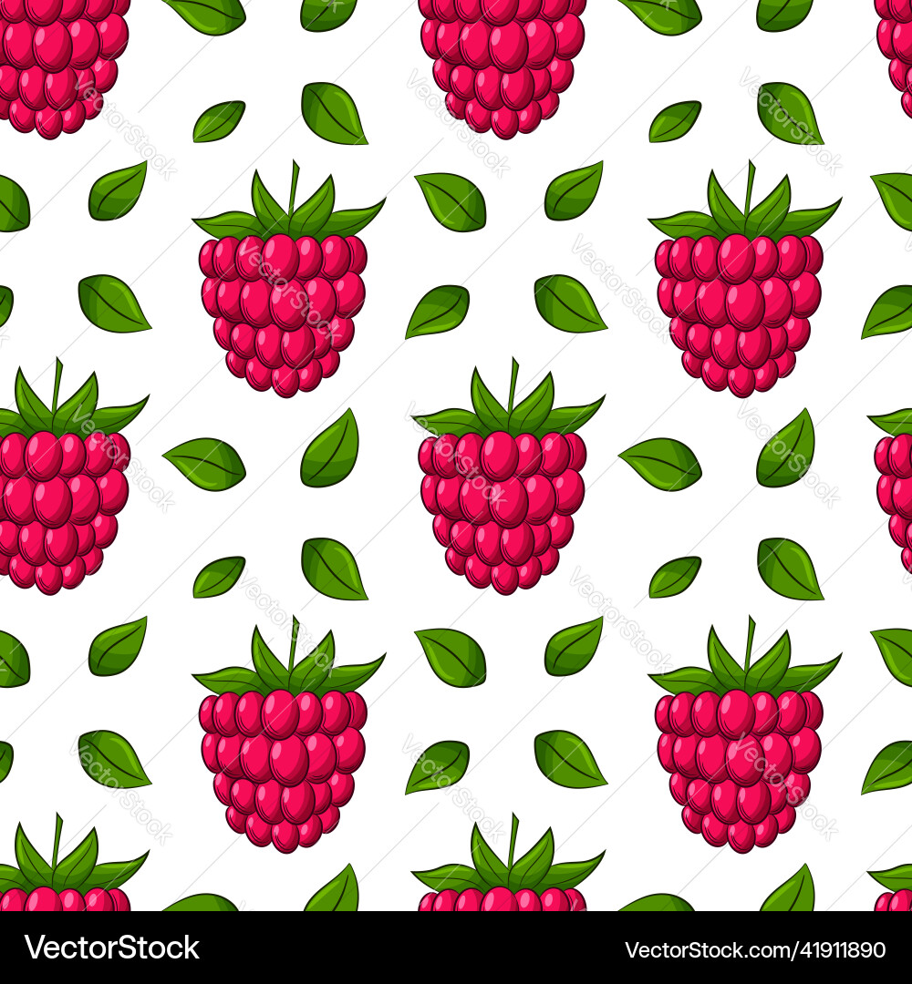 Seamless pattern with raspberry berries and leaves vector image