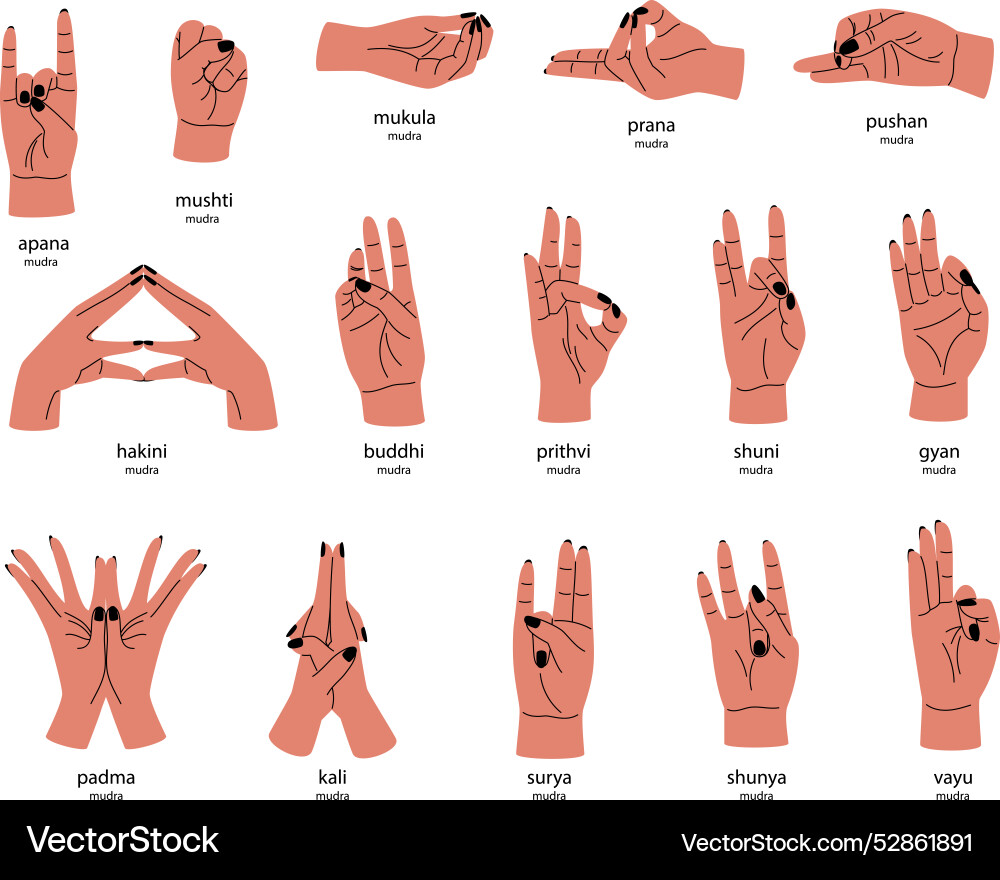 Big Nice Collection Of Different Mudras Royalty Free Vector Big Nice Collection Of Different Mudras Royalty Free Vector