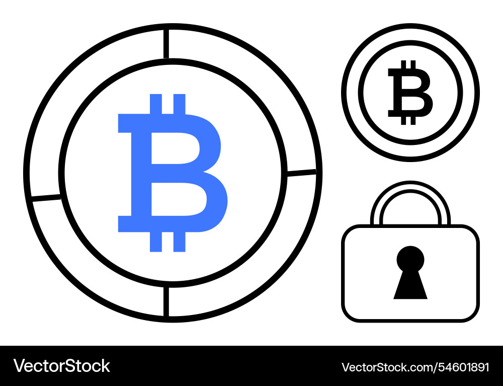 Bitcoin symbol inside circular icons with secure Bitcoin symbol inside circular icons with secure vector image