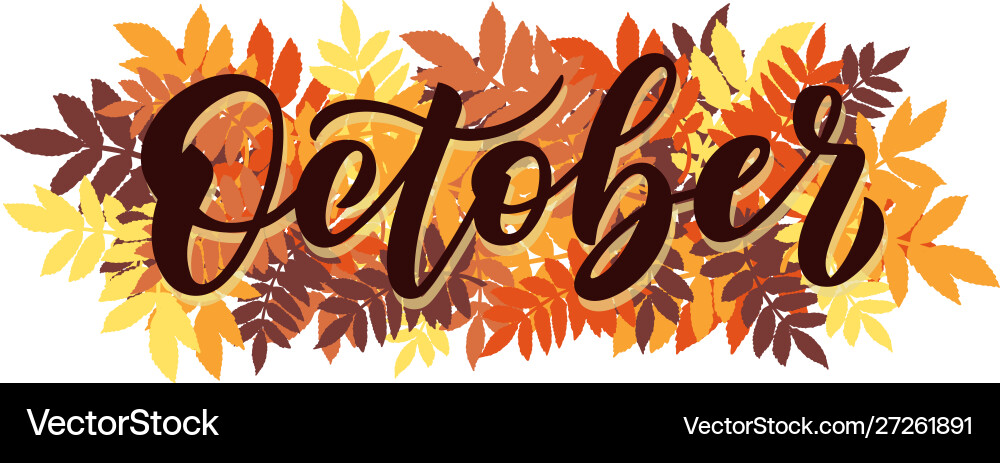 October script with decorative rowan October script with decorative rowan vector image