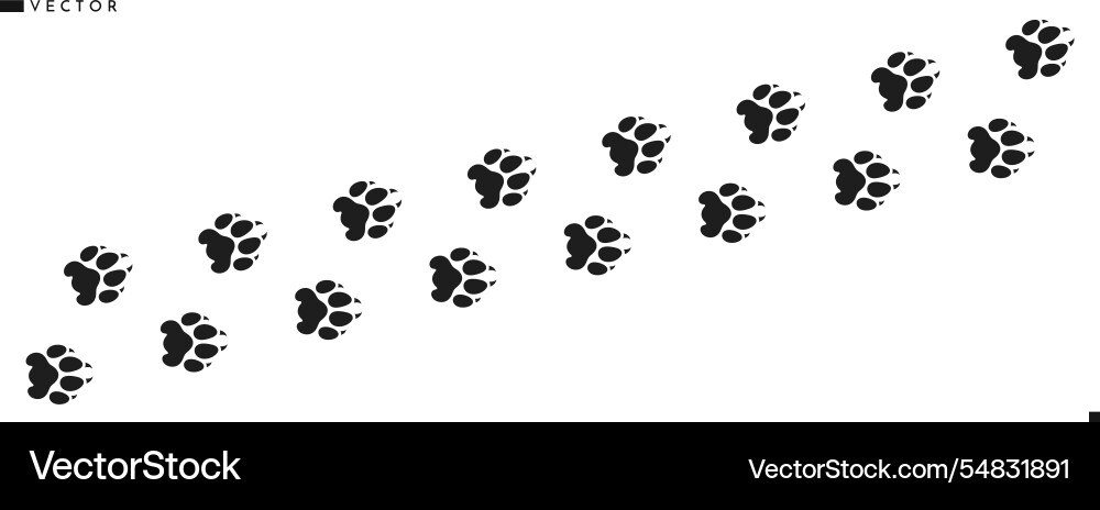 Puma Paw Prints - Black Silhouette Vector Image