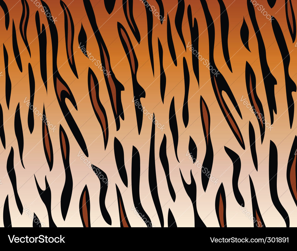 Tiger Stripes Pattern Vector Image